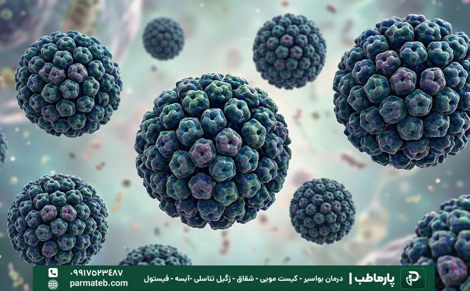 انتقال زگیل تناسلی بدون دخول