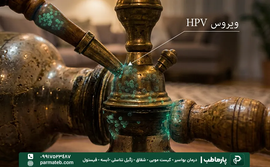 وجود ویروس hpv وی بدنه قلیان