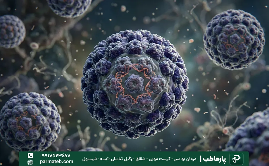 ویروس HPV در خانم های مجرد